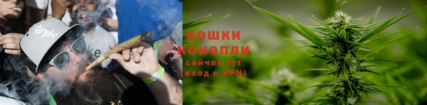 стафф Богородицк
