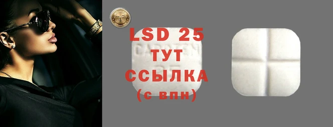 a pvp Аркадак