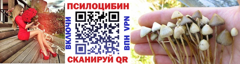kraken ССЫЛКА  Закаменск  Псилоцибиновые грибы мицелий 