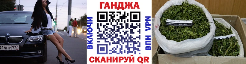 где можно купить наркотик  Закаменск  MEGA   Шишки марихуана Amnesia 